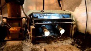 Бюджетная Система обогрева Перепелов Зимой в теплице и защита яйцесборника от побегов птицы