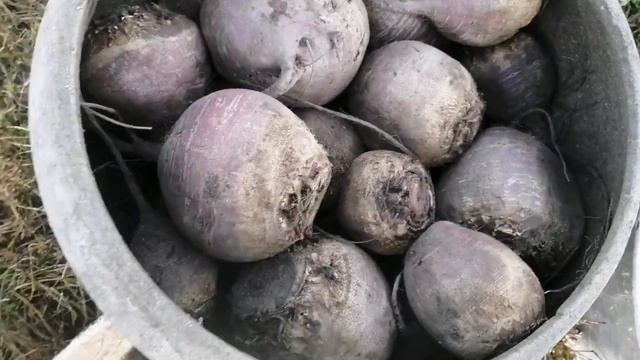 Микс за несколько дней.