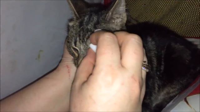 18+ Новенькие принимают лечение. Продолжение. смотреть онлайн