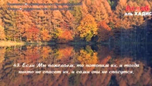 СЛУШАЕМ КАЖДЫЙ НОЧЬЮ СУРУ ЯСИН ПЕРЕД СНОМ, ТРОГАТЕЛЬНЫЙ ГОЛОС, ОДНИ ЭМОЦИИ,СКА смотреть онлайн