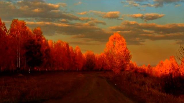 моя золотая осень.mpg смотреть онлайн