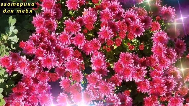 12 октября народный праздник Феофанов день, Феофан Милостивый. Что нельзя делать. Приметы традиции смотреть онлайн