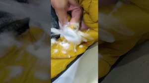 Как убрать мазуту с одежды