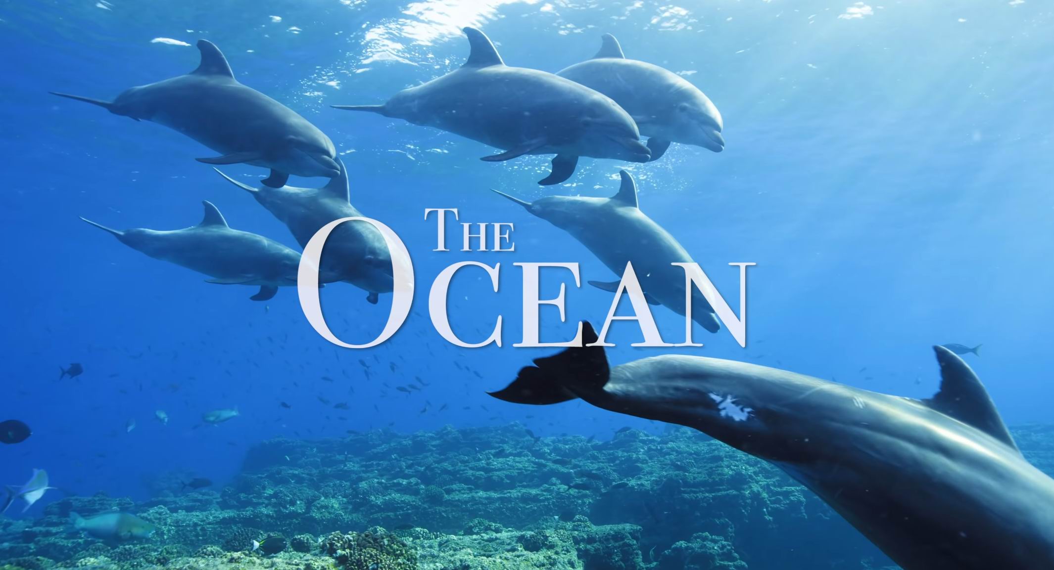 Океан 4K - Живописный Фильм О Дикой Природе С Успокаивающей Музыкой. смотреть онлайн