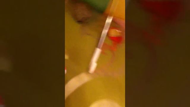 мой дом монстер хай смотреть онлайн