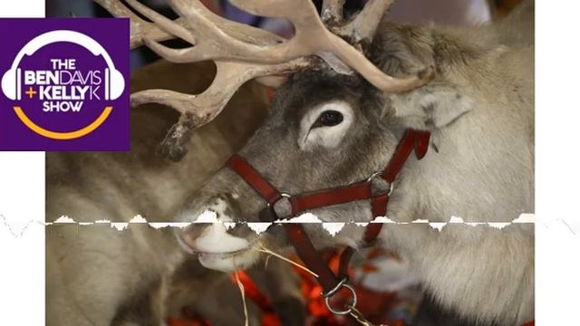 Setting the Bar: Reindeer Poop смотреть онлайн