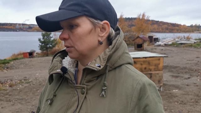 СКОЛЬКО ПРИЮТ ЗАРАБАТЫВАЕТ НА СОБАКАХ. Каким образом они оказываются в приюте, как с ними обращаютс смотреть онлайн