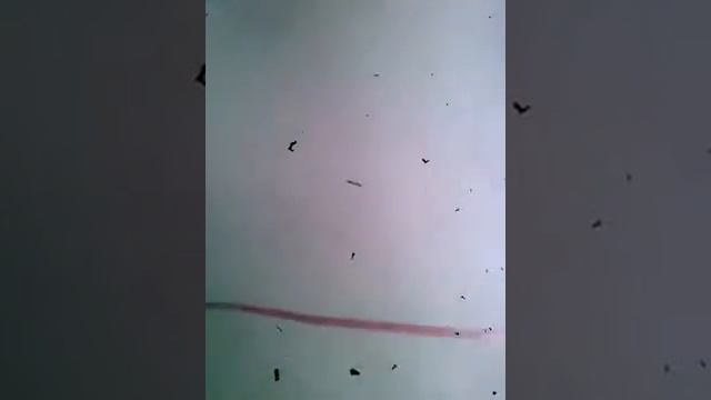 Подготовка полов под заливку и инвертор от солнечных панелей смотреть онлайн