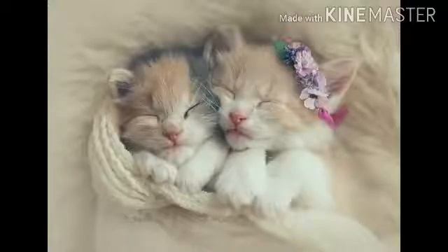 Музыка милая милая девочка красивая смотреть онлайн