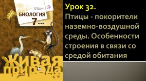 Урок 32. Птицы - покорители наземно-воздушной среды. Особенности строения в связи со средой обитания