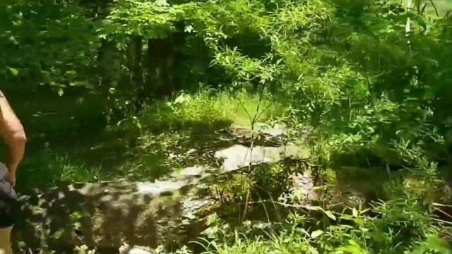 Поездка на озеро Бохинь. Cамое крупное озеро Словении. 25.06.2022 смотреть онлайн