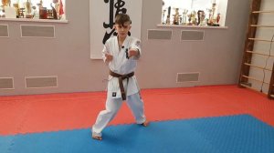 Базовые блоки в киокушин карате. Часть 3. Kyokushin karate basic blocks, Part 3.