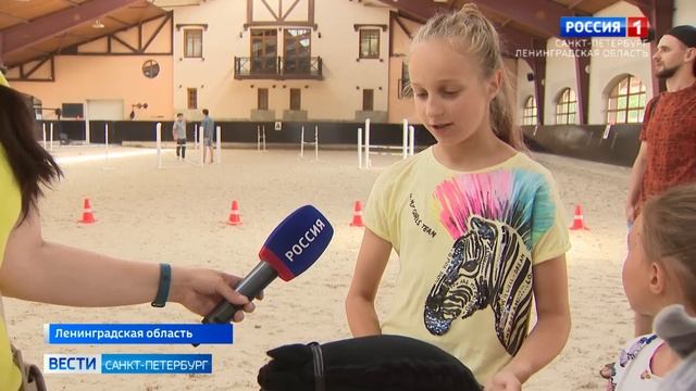 В Ленинградской области прошли соревнования по хоббихорсингу смотреть онлайн