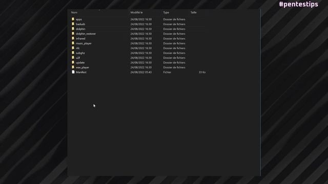 #pentestips FLIPPER ZERO BADUSB module - running scripts on different keyboard layouts. смотреть онлайн