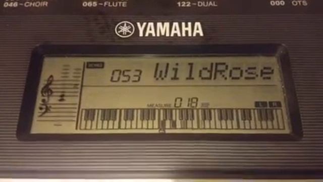 Yamaha PSR-E243 To A Wild Rose (St. Patrick's Day Edition) смотреть онлайн