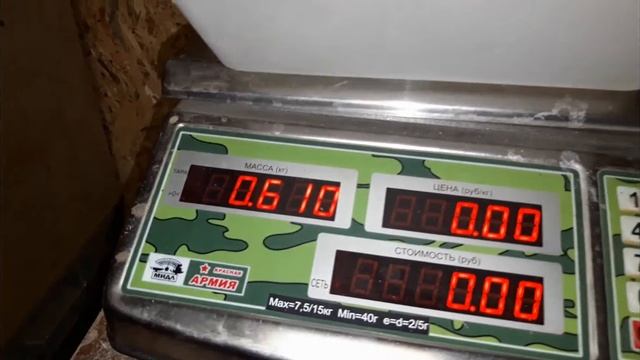 Домашние муларды. Взвешивание в 10 дней. смотреть онлайн