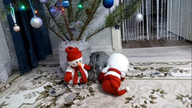 Новогодняя елка. Здесь был Вася. смотреть онлайн