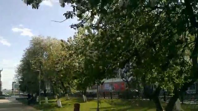 Blosom cherries apples trees смотреть онлайн