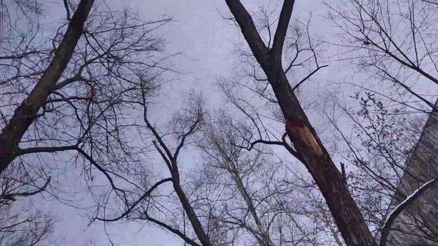 прогноз на 27 февраля ночью 🔯 без осадков завтра солнце ☀️ как волшебник выйдет на улицу смотреть онлайн