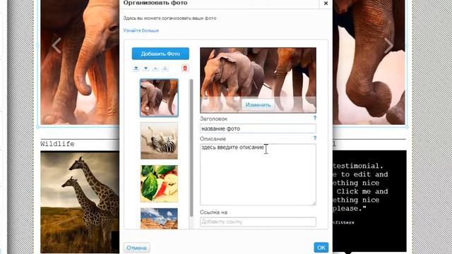 Конструктор сайтов Wix | Как организовать фото в галерее на сайте Wix смотреть онлайн