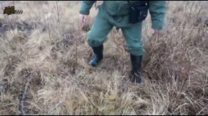 Вездеход УРАЛ по БЕЗДОРОЖЬЮ севера России выпуск #26