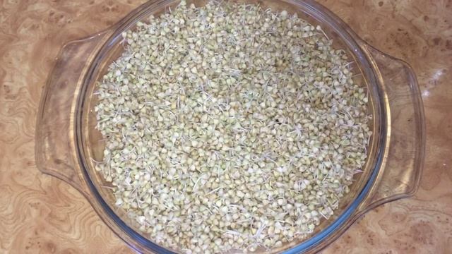 Коктейль из пророщенных зерен гречихи смотреть онлайн