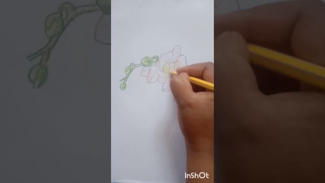 very easy colours drawings tricks for... flowers.... #subscribe #drawing # смотреть онлайн