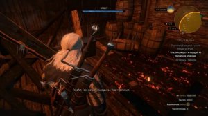 Прохождение Ведьмак 3 - Квест Дела семейные