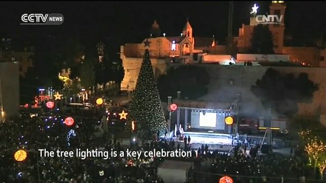 Christmas Preparation