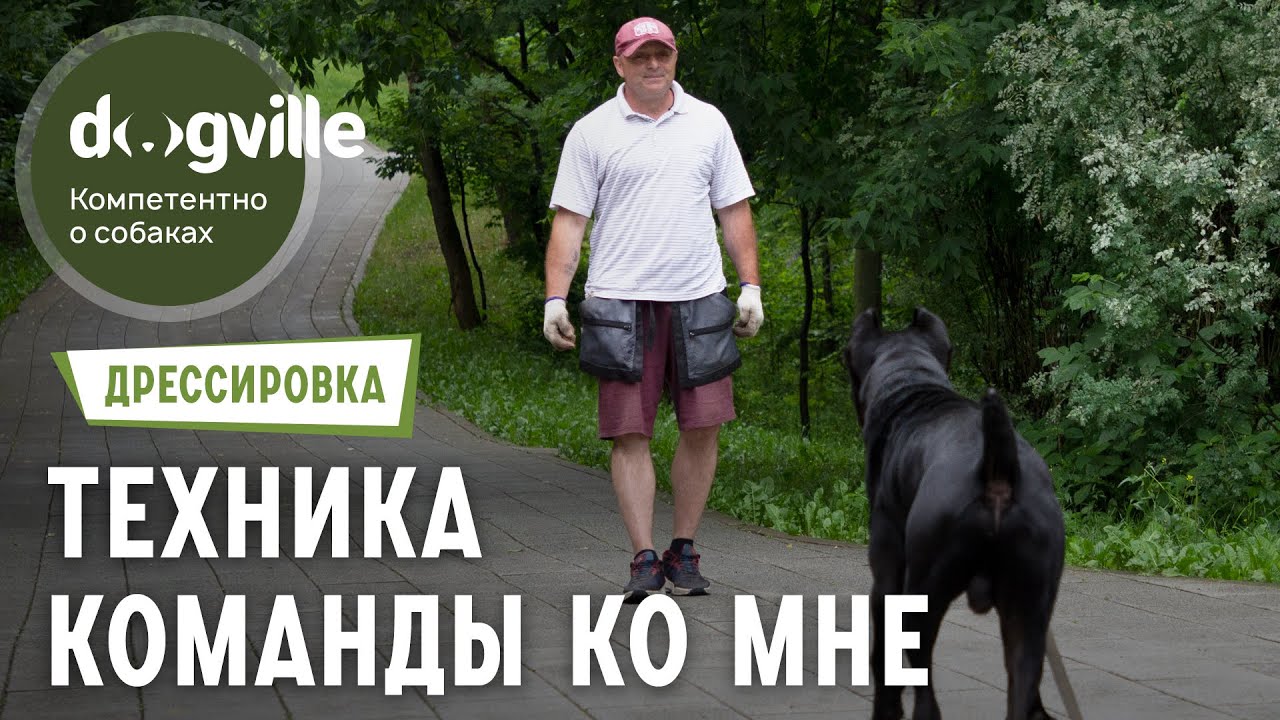 Команда «Ко мне» — Техника выполнения смотреть онлайн