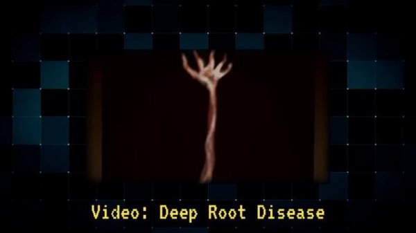 GEMINI HOME ENTERTAINMENT EXPLICADO