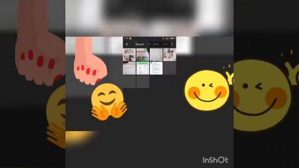 Обзор программы InShOt