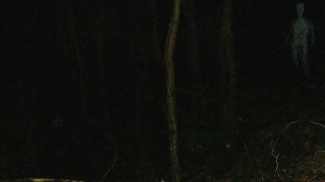Новое Обновление // Новый Призрак и Предметы // Phasmophobia Обновление смотреть онлайн