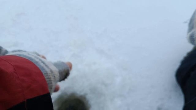 Рыбалка на Чигиринском водохранилище. Сезон 2023 открыт ) смотреть онлайн