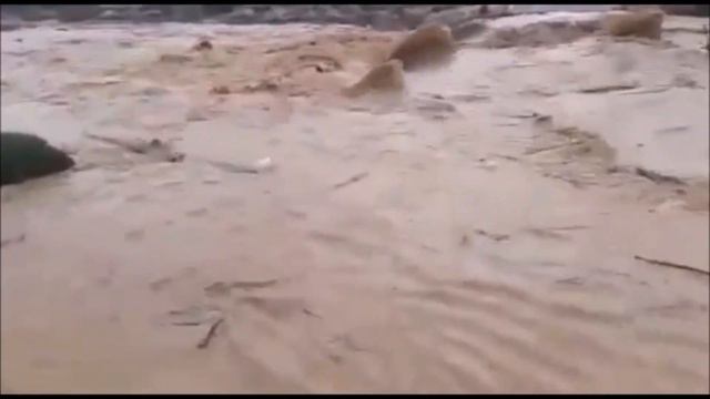 Сильное течение!!! (Strong Current)