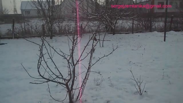 Земляника в декабре. Обзор участка. смотреть онлайн