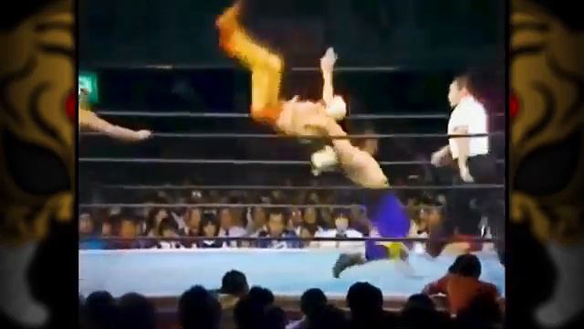 Tiger mask tribute смотреть онлайн