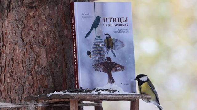 Моя новая книга "Птицы на кормушках. Подкормка и привлечение", 2022 г. смотреть онлайн