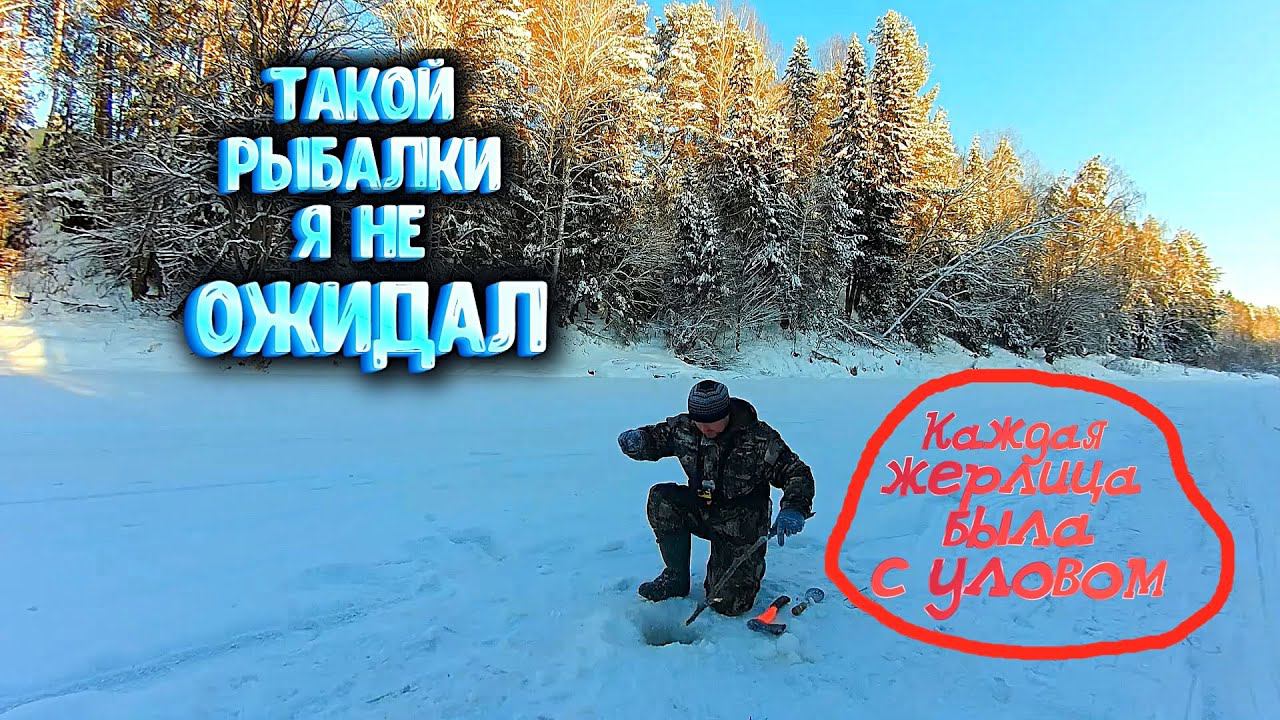 ✔ ТАКОГО Я НЕ ОЖИДАЛ каждая жерлица была с уловом Оставил жерлицы на ночь смотреть онлайн