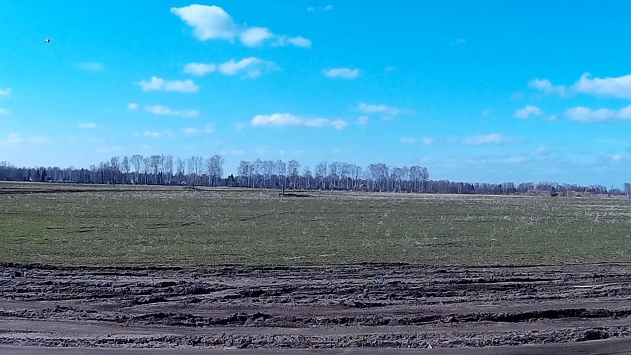 2017 0415 154011 038 смотреть онлайн