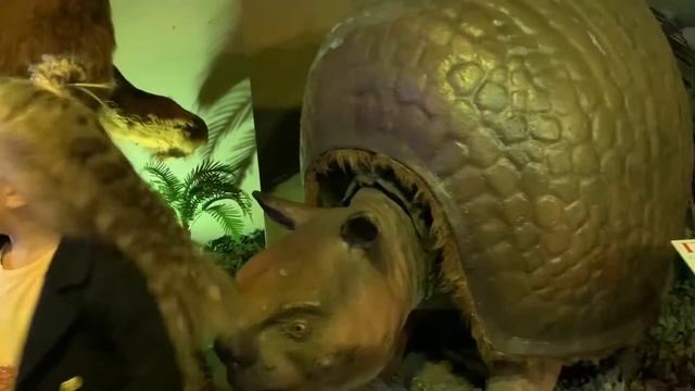 ПЛАНЕТА ДИНОЗАВРОВ И ПЛАНЕТАРИЙ С АВРОРОЙ смотреть онлайн