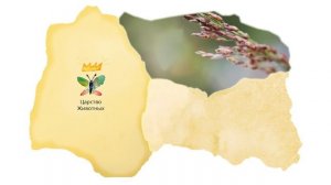 3. Царства живой природы. Часть 1