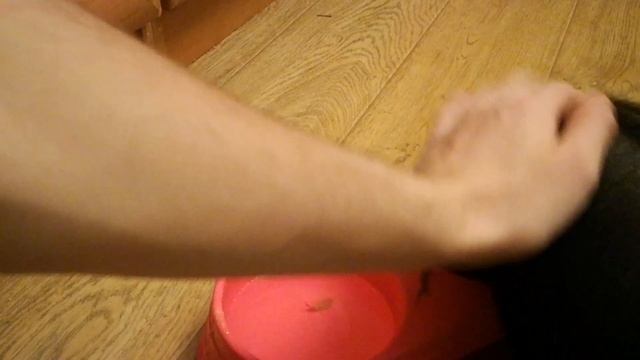 Вся Правда 12 дней Мини Пигу! Вырубился свет! ПОКОРМИТЬ Мини Пига чем, овощами! Как и что варить! смотреть онлайн