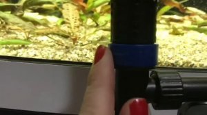 Пылесос для аквариума. Обзор электрического сифона.