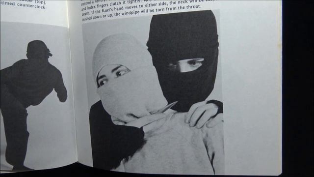 The Books that Inspired Mortal Kombat смотреть онлайн