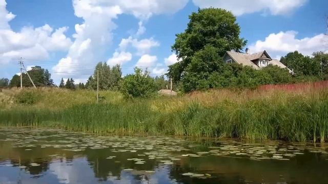Река Оредеж 2020 смотреть онлайн