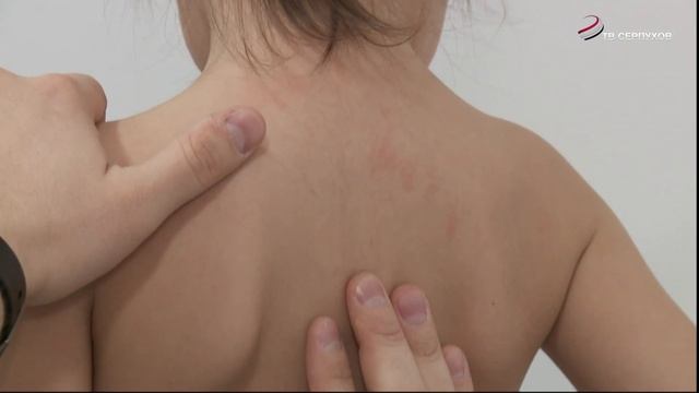 В центре восстановительной медицины Серпухова ведет прием детский врач-ортопед смотреть онлайн