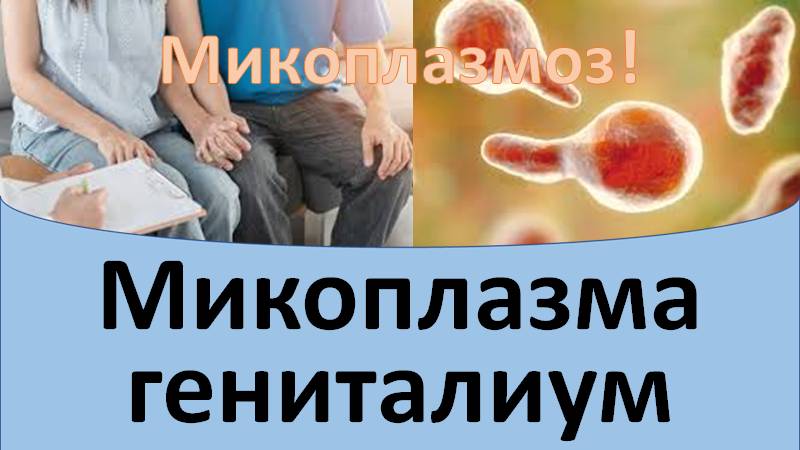 Микоплазма гениталиум смотреть онлайн
