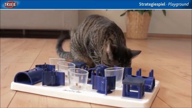Cats Playground - Keep Cats Occupied! смотреть онлайн
