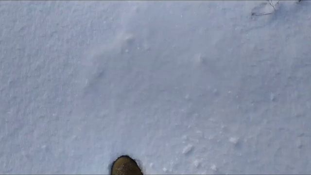 РАСКИТЫВАЕМ САМОДЕЛЬНУЮ ОТРАВУ ОТ МЫШЕЙ В САДУ! СКОЛЬКО ЗАРАБОТАЛ ЗА 3 ЧАСА? смотреть онлайн